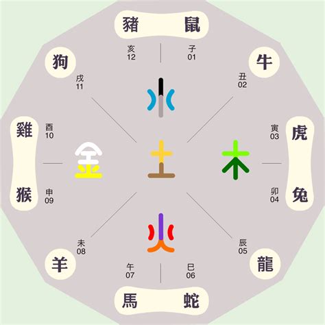 香港五行屬金|香港五行属什么